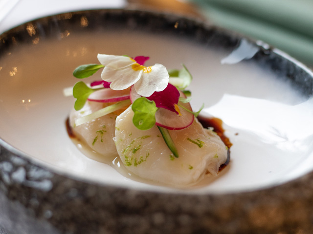 Arboreal scallop