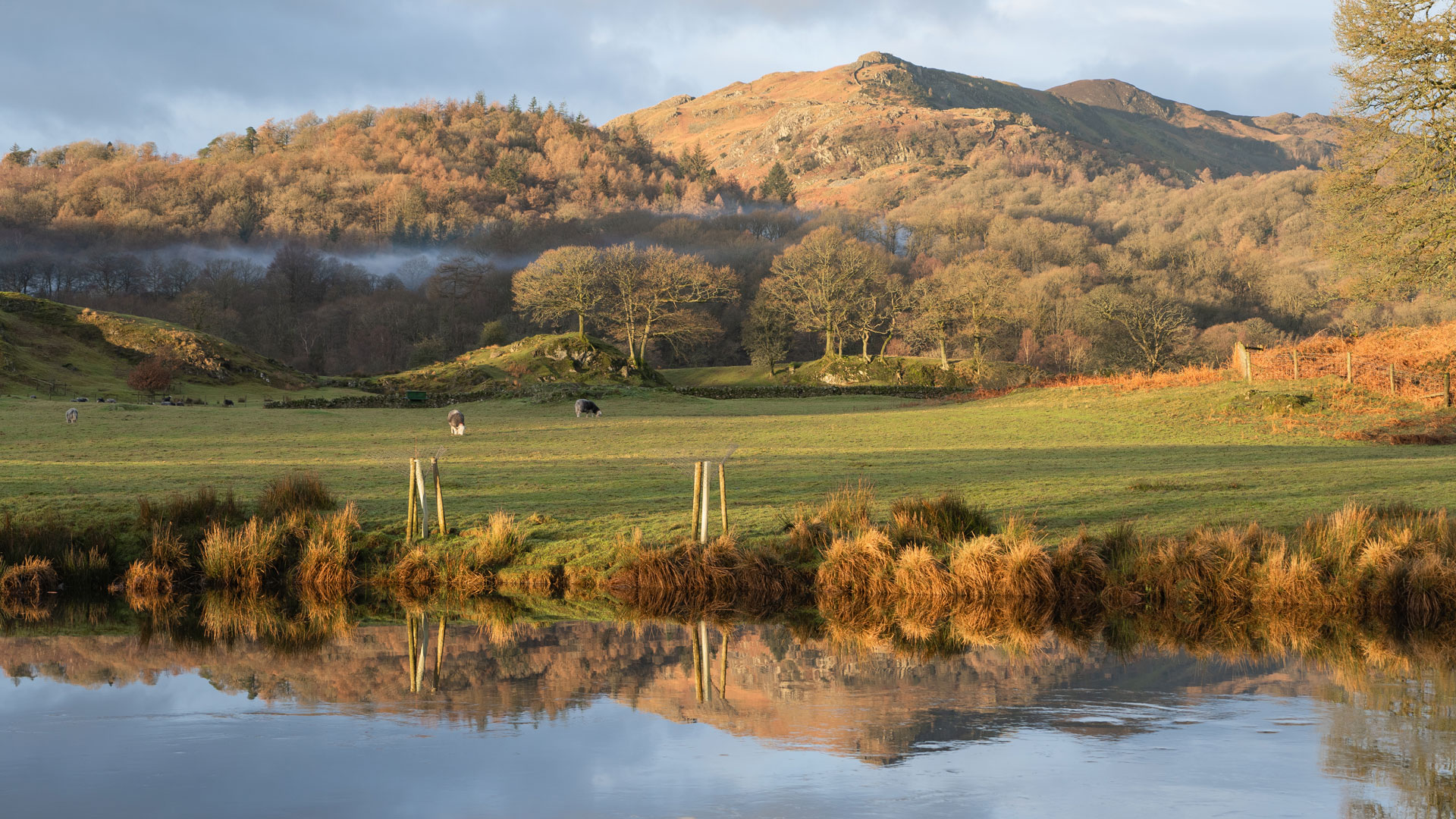 Autumn in Elterwater