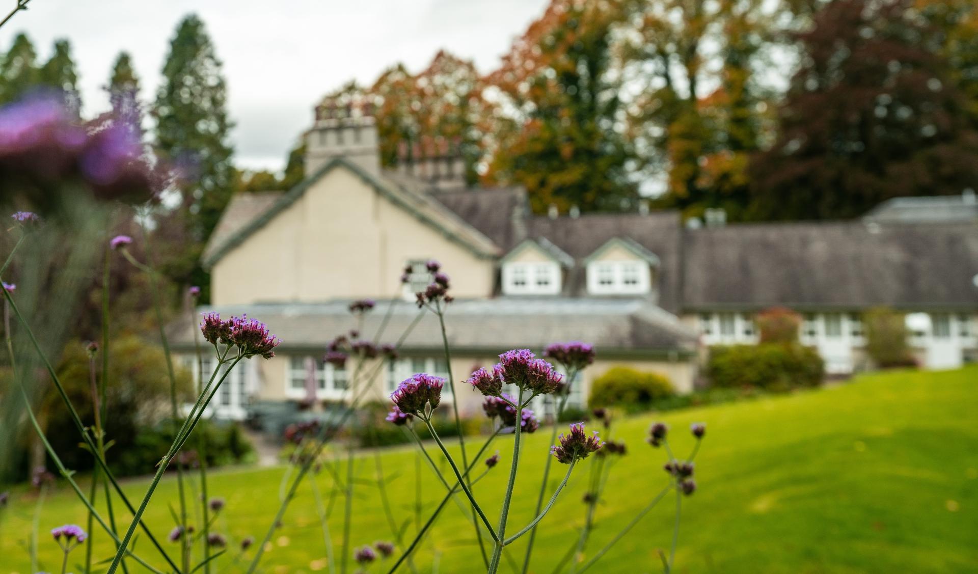 Autumn special at Briery Wood