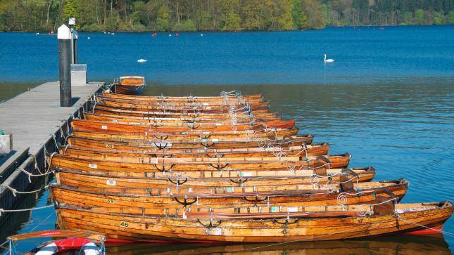 Rowing boats on Windermere