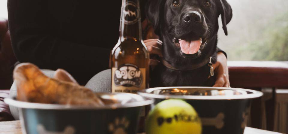 Merewood Doggy Afternoon Tea