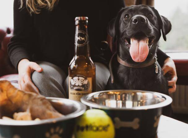 Merewood Doggy Afternoon Tea