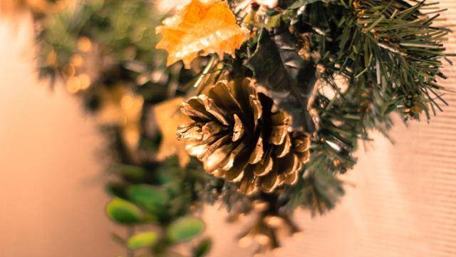 Cragwood Christmas C3 5