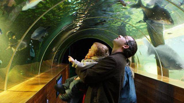 Lakeside Aquarium