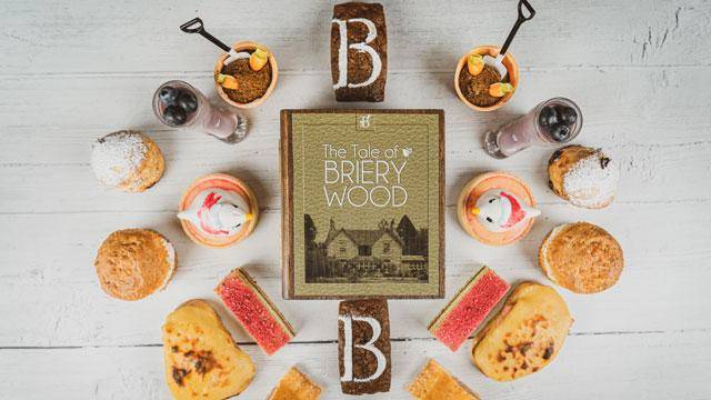Briery Wood Afternoon Tea aerial shot