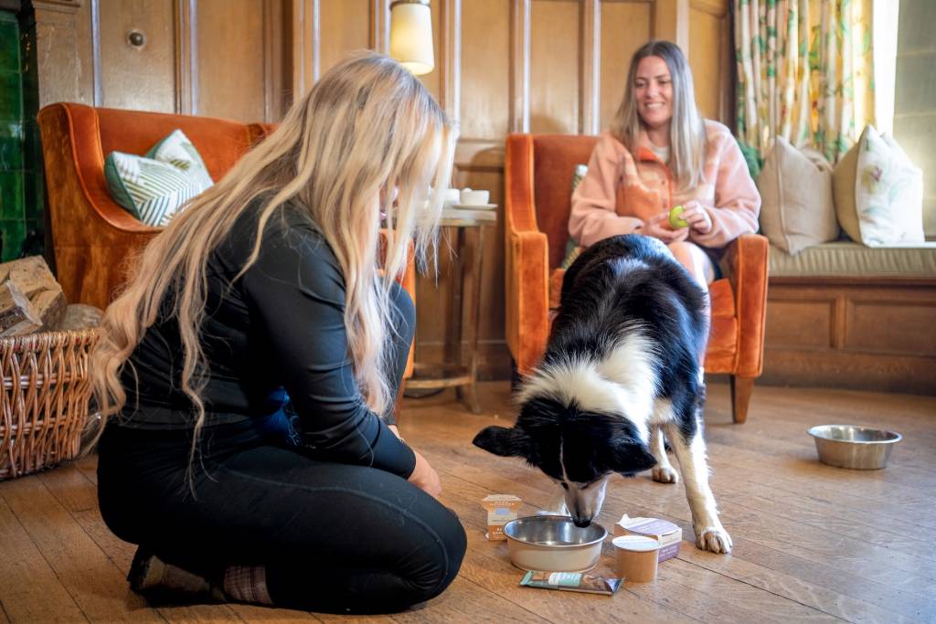 Dog enjoying its doggy afternoon tea with its owners