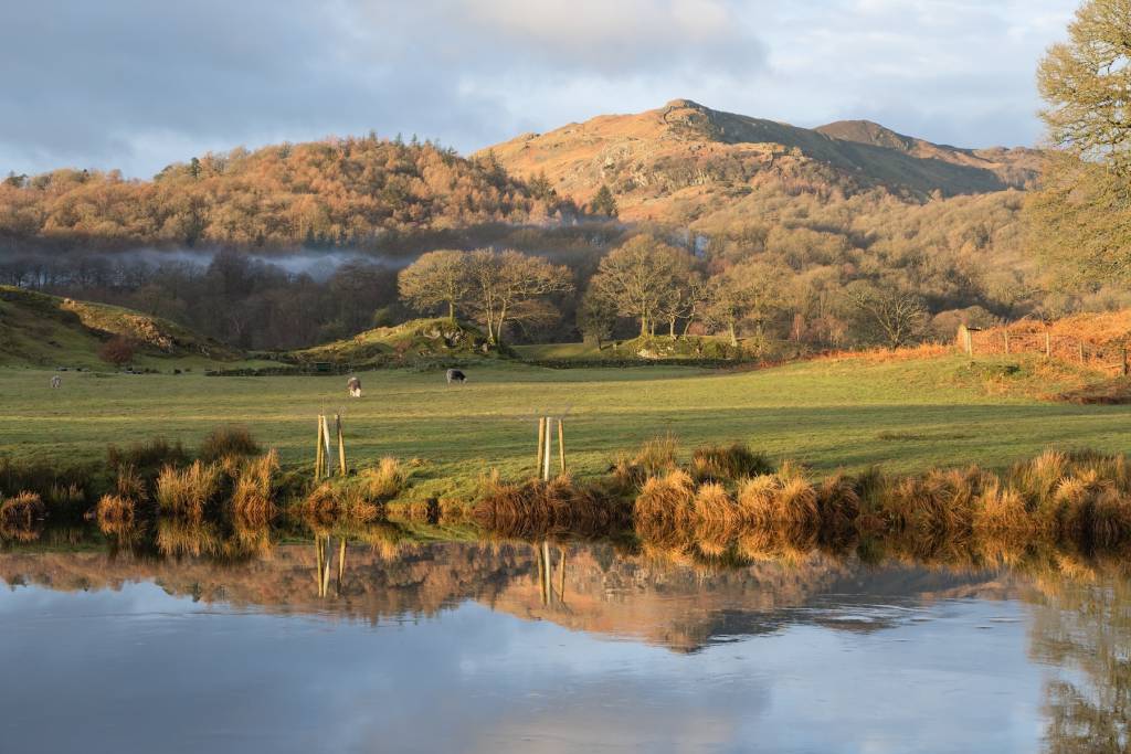Elterwater & Stock Ghyll